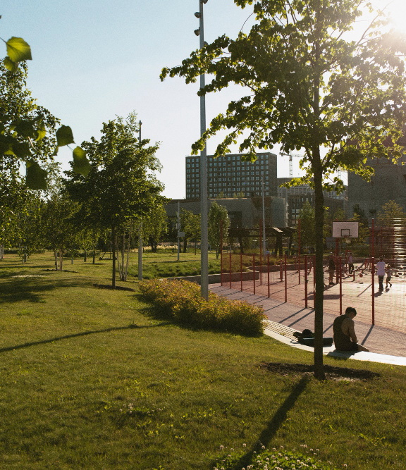 verde pubblico e giardinaggio -